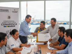 Conapesca Anuncia Actualización Obligatoria del Certificado de Captura para Exportar a la UE Certificado captura exportación UE