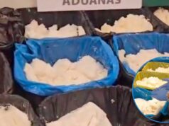 Decomiso Histórico: 625 Kilos de Metanfetamina de México a España Ocultos en Aceite de Coco Decomiso metanfetamina México