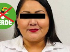 Partido Verde Sonora se Deslinda de Regidora Angélica Valdés Tras su Detención: Aclaran Ausencia de Vínculo Partidista Partido Verde Valdés
