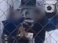 Impactante Detención en Nogales: Veterinaria Acusada de Maltrato Animal Tras Video Viral Maltrato animal Nogales