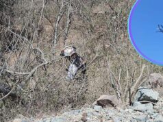 Alerta en Sinaloa: Desaparece Operador de Drones de Televisa Durante Cobertura en Zona Minera operador drones desaparecido Sinaloa