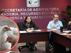 Sonora Impulsa Reconocimiento Internacional como Zona Libre de Influenza Aviar: Gestiones Clave con Autoridades de EE. UU. Influenza Aviar Sonora