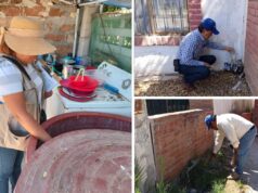 Alerta en Sonora: Los “criaderos invisibles” en hogares podrían aumentar casos de dengue Casos de dengue en Sonora