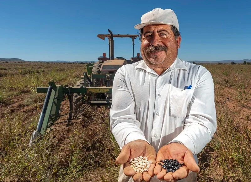 news-image-4 semilla frijol productores