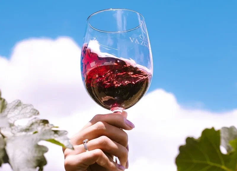 news-image Vino Fest Chihuahua Capital