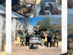 Aseguran 18 Perros en Sonoyta por Presunto Maltrato Animal: Fiscalía de Sonora Investiga Maltrato animal Sonoyta