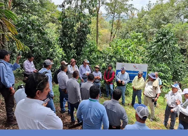 news-image-17 protección productores café