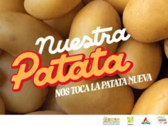 La Patata Brilla como Producto Estrella en Fruit Attraction 2026 Patata Fruit Attraction 2026