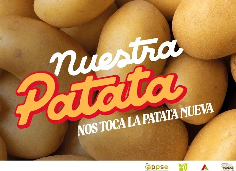 news-image-7 Patata Fruit Attraction 2026